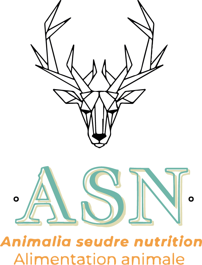 Logo_1