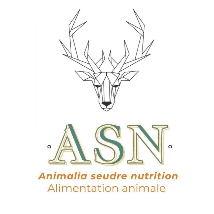 Logo-2